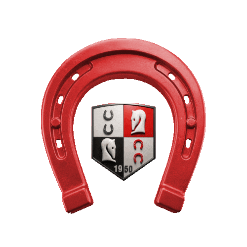 Horse Race Horseshoe Sticker by TJK