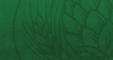 GIF by Pan pivo