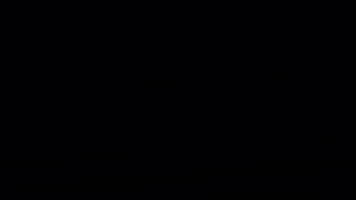 Animation GIF
