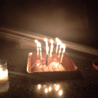 200.gif?cid=fc005b087c6e8bd871c1ab343cfc2e2149f979274a0ce2f1&rid=200.gif&ct=g