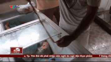 changchang-03d2  GIF