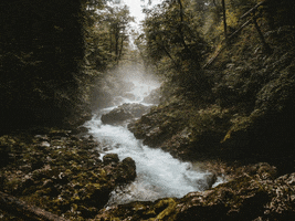 200.gif?cid=fc005b0861511f979866cce7f769eaddeaa570629ff269bb&rid=200.gif&ct=g
