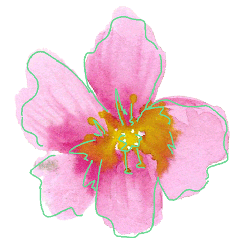 A New Day Pink Sticker by A New Day Amsterdam