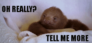 sloth tell me more GIF