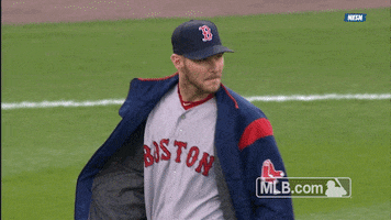 Red Sox Smh GIF by MLB