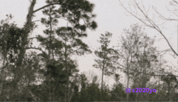 Confused GIF