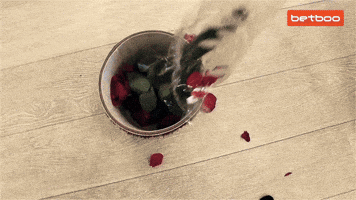 Bb Johnny GIF by Betboo