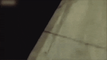 paolovaldivia  GIF