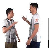 U.P.Plasencia Sticker