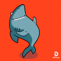 Happy Sharks GIF by Shark Week