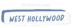 Vet Clinic Sticker by Modern Animal