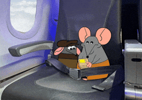Travel Plane GIF