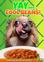 Fire Wow GIF by PetJuvenate - PJ