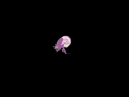 elec  GIF