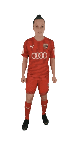 Schanzerinnen Sticker