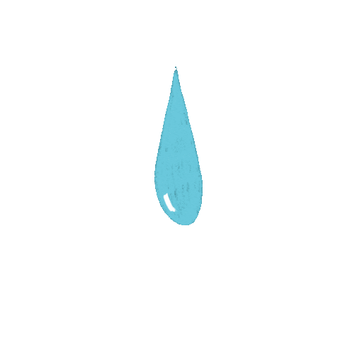 Rain Sticker