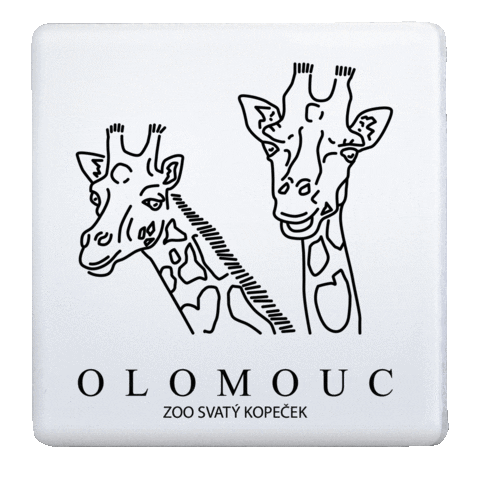 Zoo Sticker by keramickeznamky