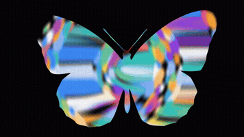 Flutter GIF by Lorenzo Susca
