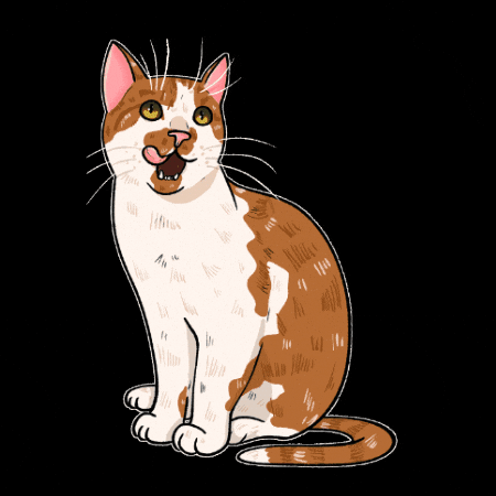 Cat Gingercat GIF by TheBetterCat