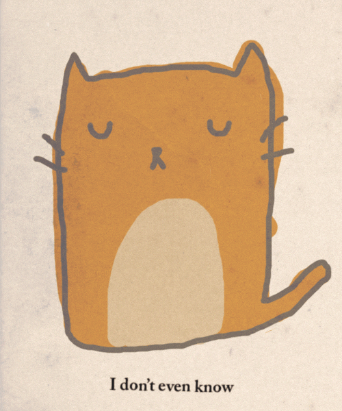 Illustrated gif. An orange cat shaped like a pillow has its eyes closed. Text, “I don't even know.”