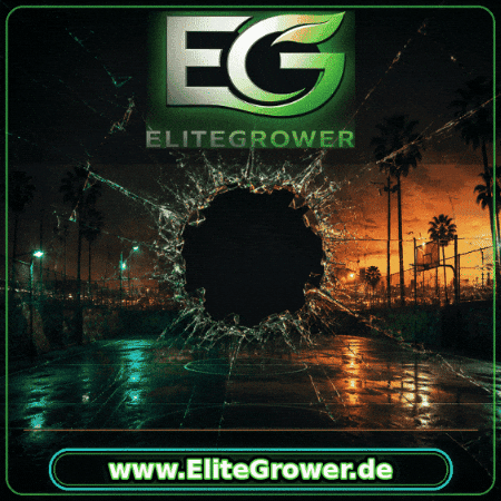 Green Mile Italy GIF by EliteGrower