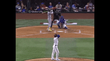Yankees GIF