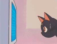 Fases De Luna Gifs Get The Best Gif On Giphy