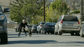 Dogwhisperer GIF by National Geographic Channel