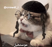 كراودي GIF
