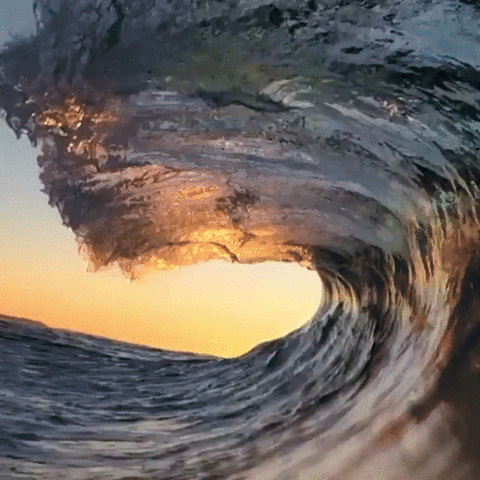 Video gif. We watch a big ocean wave crest and then fall, curving down just below the surface, as the sunlight filters through the water like glitter.