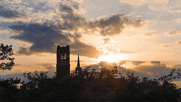 sunset uf GIF by University of Florida