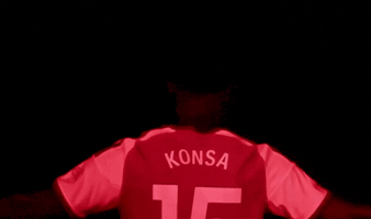 15 Arsenal GIF by memes