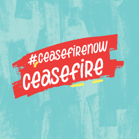 Cease Fire Peace GIF by PVDA