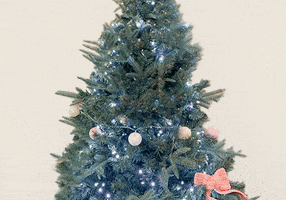 Christmas Tree GIF by SEVY