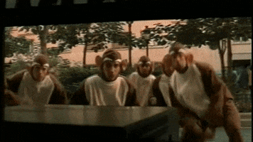 embracedesires monkey discovery channel bloodhound gang GIF