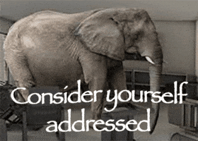 Elephant In The Room GIF by Graham Barham