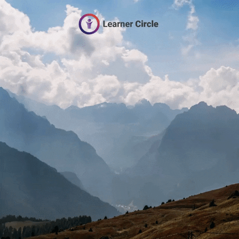 Life Love GIF by Learner Circle