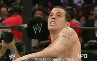 Who-the-fuck-is-steve-o GIFs - Get the best GIF on GIPHY