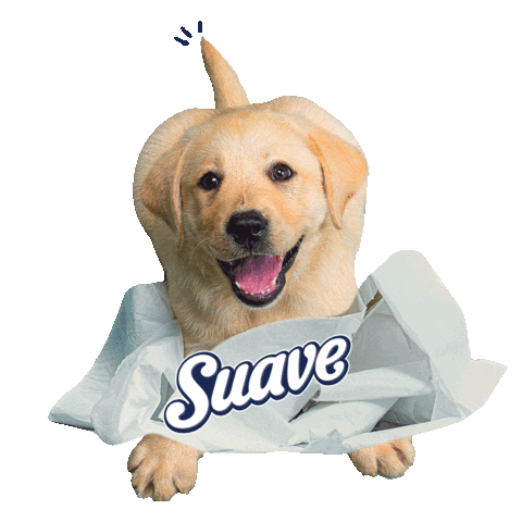 Dog Scott Sticker by BCW Perú