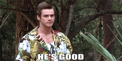 ace ventura the creatively confident mentor