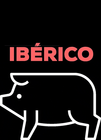 Pigletses jamon piglets iberico agramunt GIF