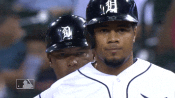 I See You Reaction GIF by Detroit Tigers