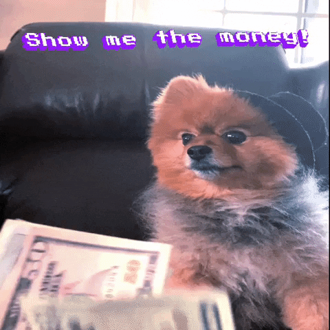 Pay Day Dog GIF