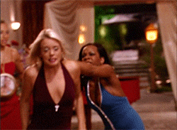 giphy.gif?cid=4bf119fc5cc43a7e49376f5955