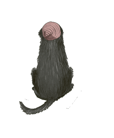 Hund Sticker by Jupitermond Verlag