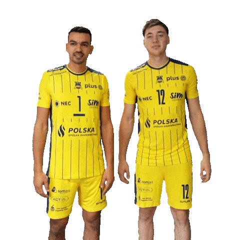 PSG Stal Nysa Sticker