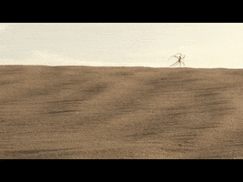 home bae GIF