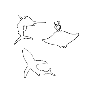 Supremoinstrumentos Sticker by supremodonto