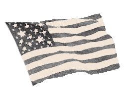 American Flag America Sticker by Mason Dixie Foods