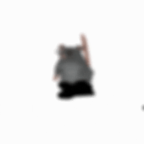 Dance Rat GIF